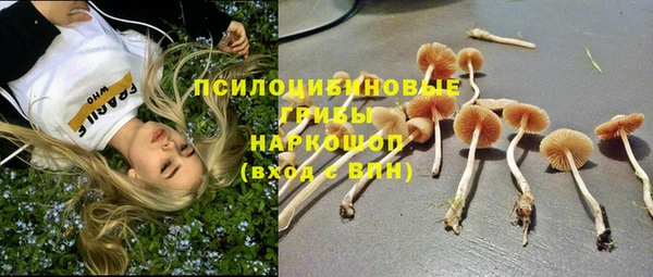 mdpv Баксан