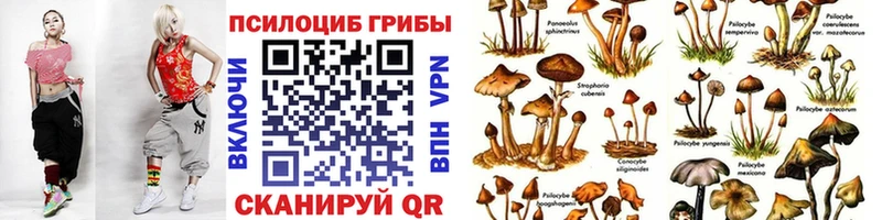 хочу наркоту  Давлеканово  Псилоцибиновые грибы Psilocybe 